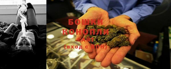 хмурый Нефтекумск
