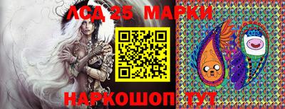 apvp Кингисепп