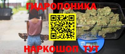 сатива Кимры