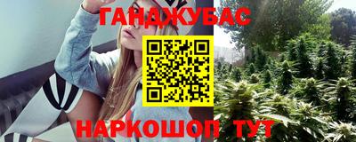 apvp Кингисепп