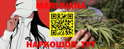 сатива Кимры