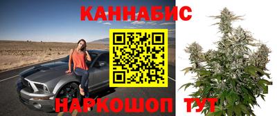 apvp Кингисепп