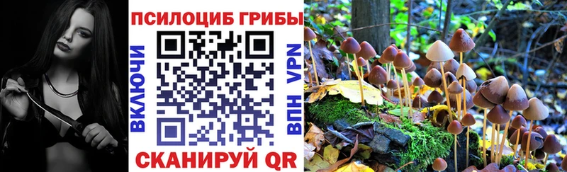 Псилоцибиновые грибы Psilocybine cubensis  что такое наркотик  Краснотурьинск 