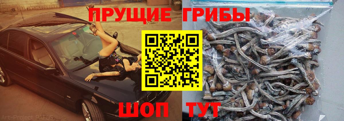 Псилоцибиновые грибы MAGIC MUSHROOMS Краснотурьинск