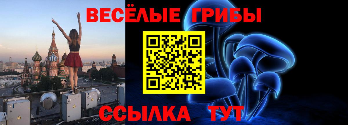 Псилоцибиновые грибы прущие грибы  как найти закладки  Псилоцибиновые грибы Psilocybine cubensis  Краснотурьинск  Вход с VPN 